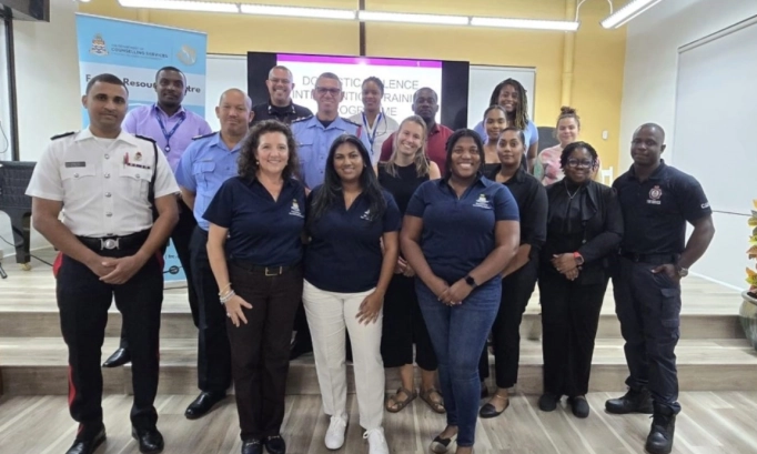 Free Domestic Violence Intervention Training Workshop